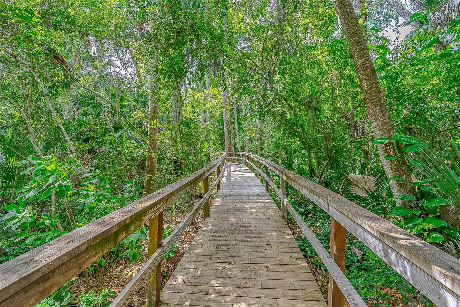 217 SCHOONER AVE, EDGEWATER, FL, 32141