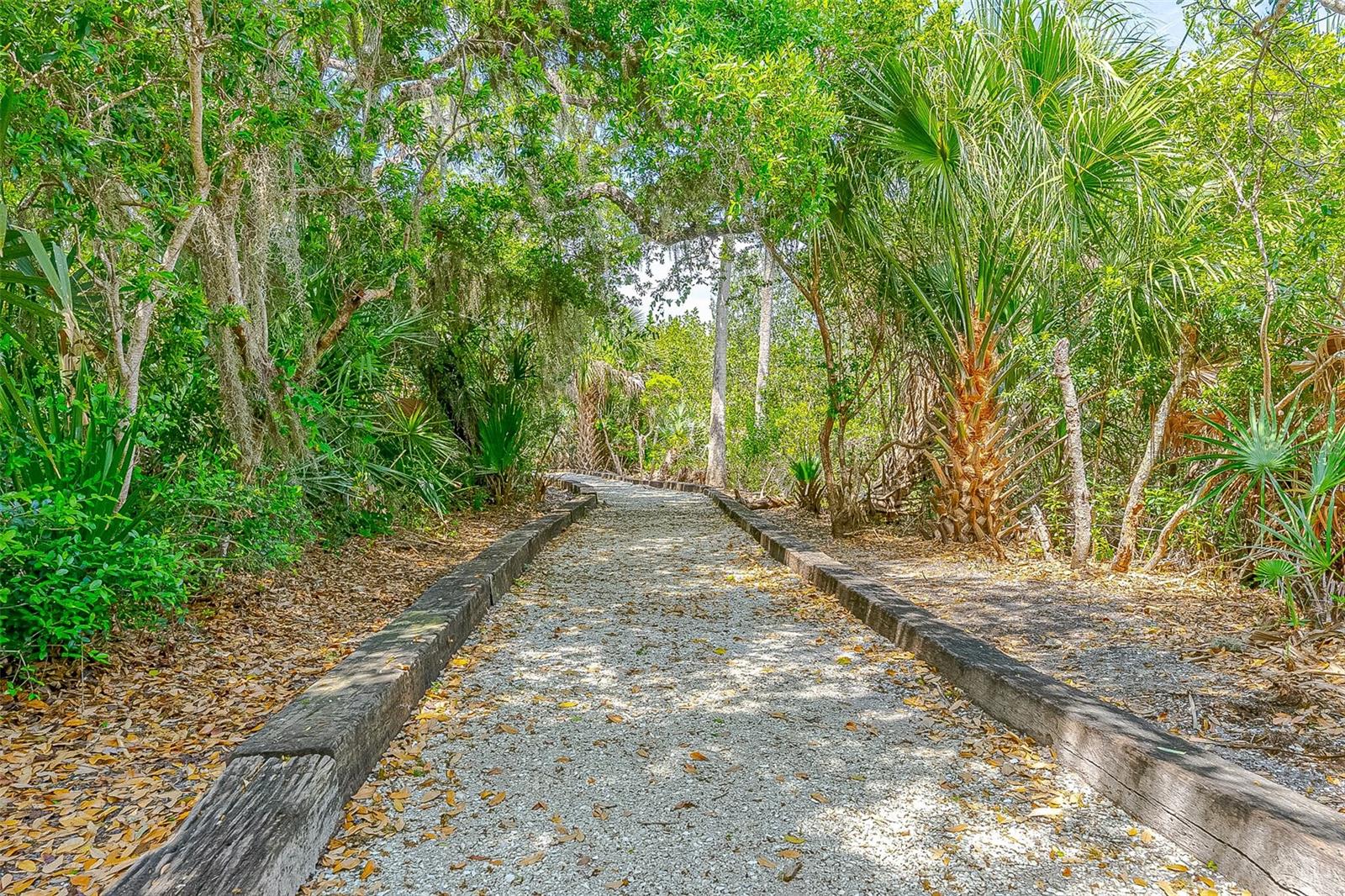 217 SCHOONER AVE, EDGEWATER, FL, 32141