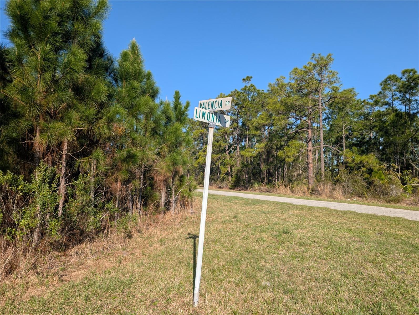 207 VALENCIA DR, INDIAN LAKE ESTATES, FL, 33855