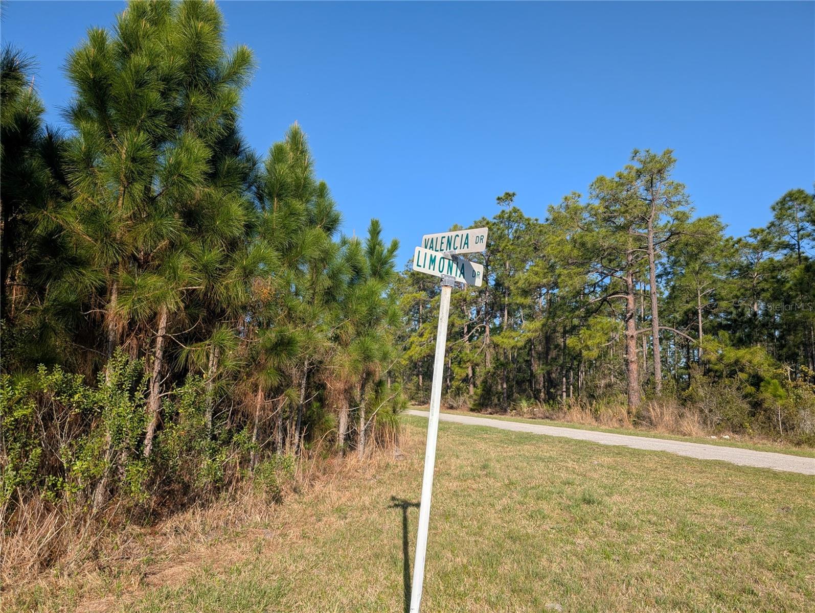 207 VALENCIA DR, INDIAN LAKE ESTATES, FL, 33855