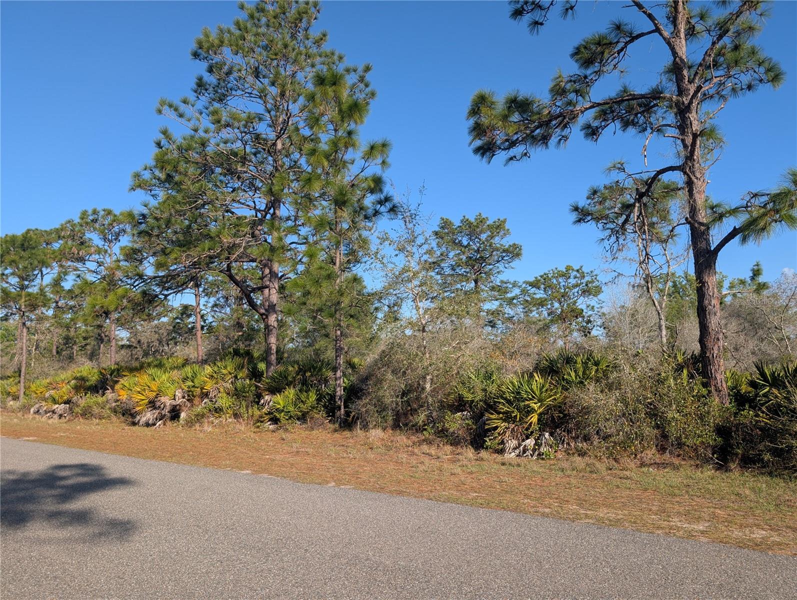 207 VALENCIA DR, INDIAN LAKE ESTATES, FL, 33855