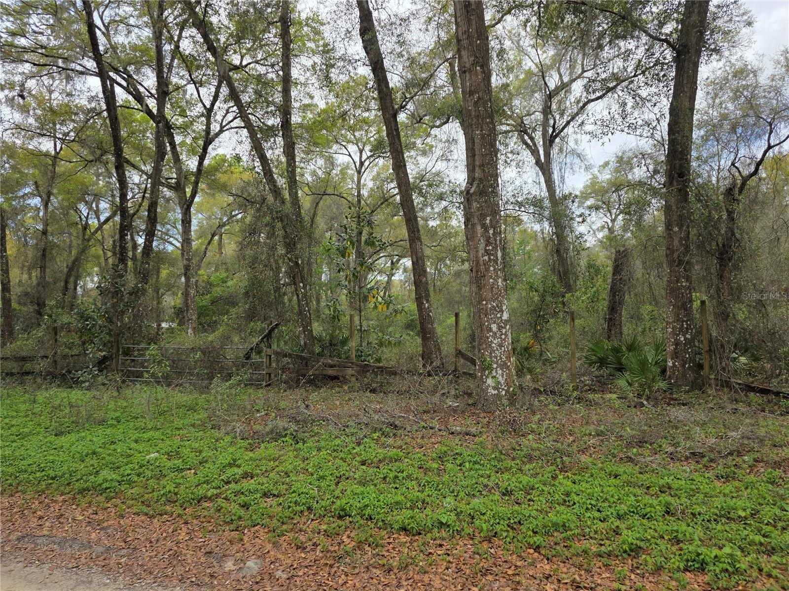 00 SE 30TH AVE, SUMMERFIELD, FL, 34491