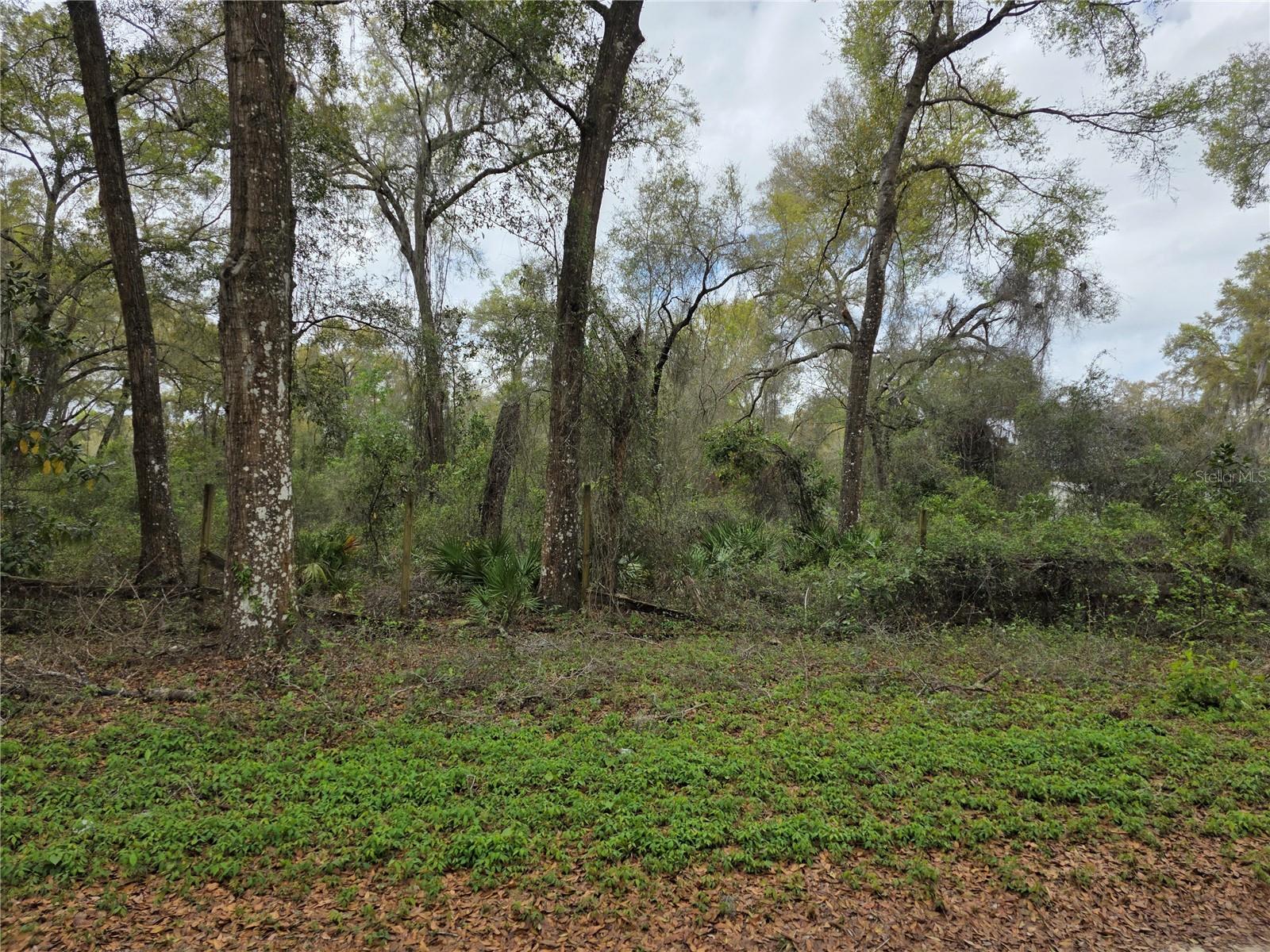 00 SE 30TH AVE, SUMMERFIELD, FL, 34491