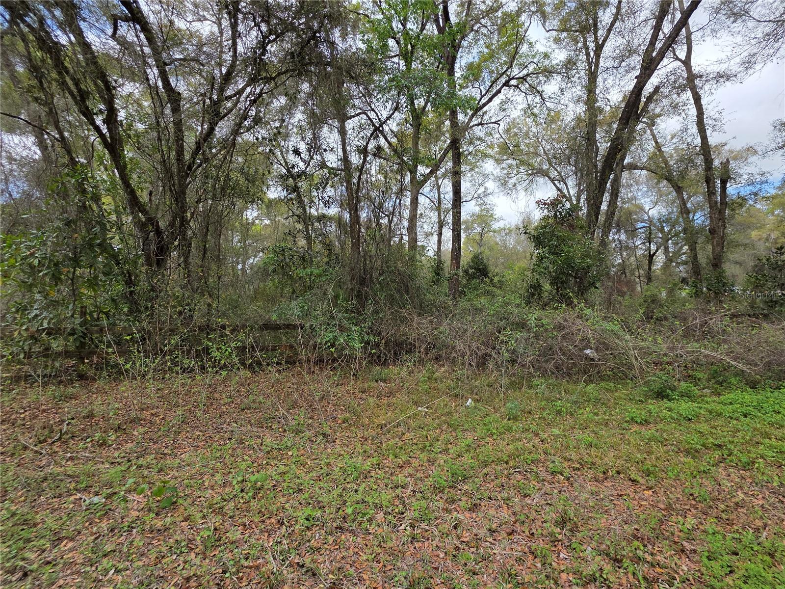 00 SE 30TH AVE, SUMMERFIELD, FL, 34491