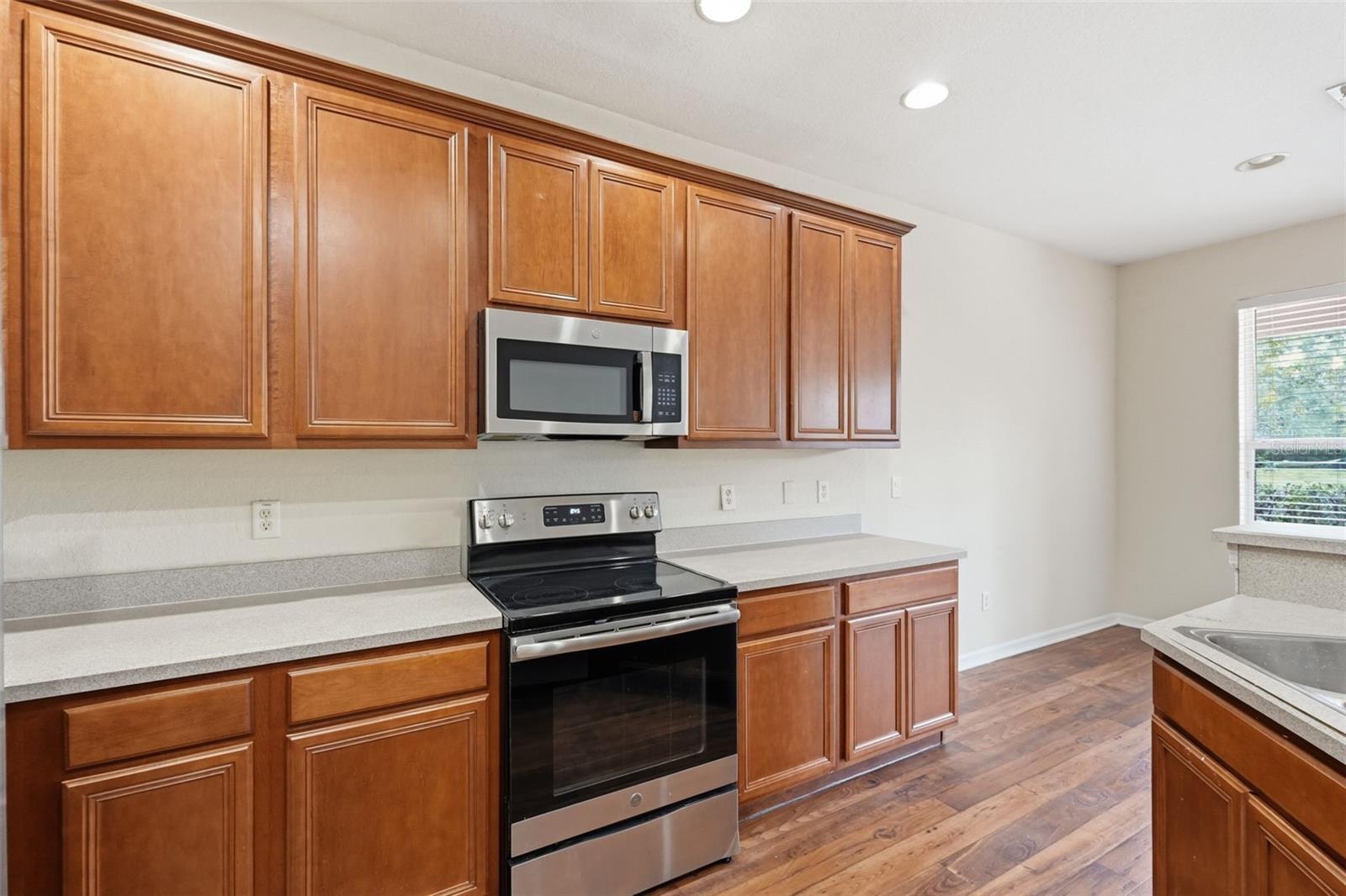 26952 JUNIPER BAY DR, WESLEY CHAPEL, FL, 33544