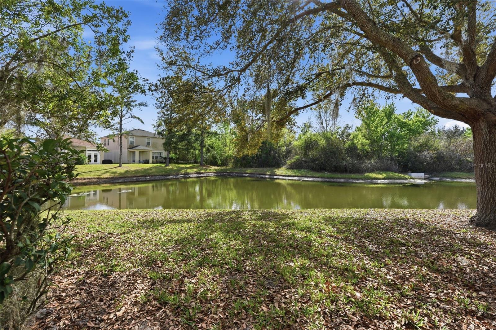 26952 JUNIPER BAY DR, WESLEY CHAPEL, FL, 33544