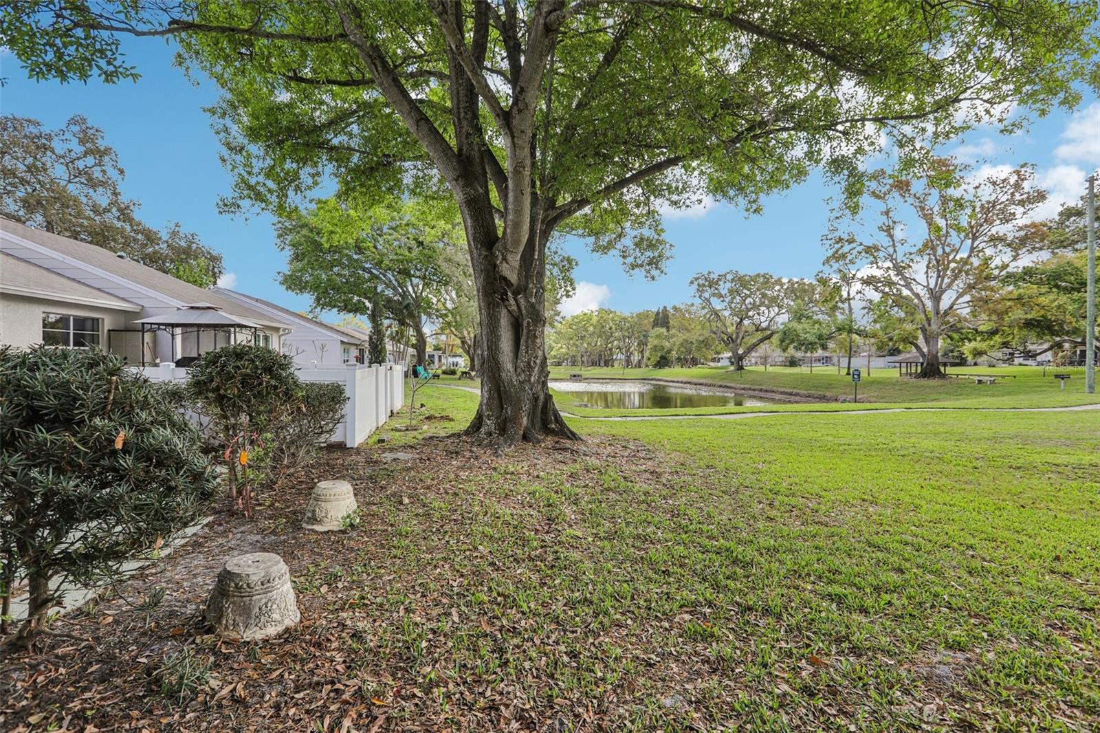 288 SALEM ST, SAFETY HARBOR, FL, 34695
