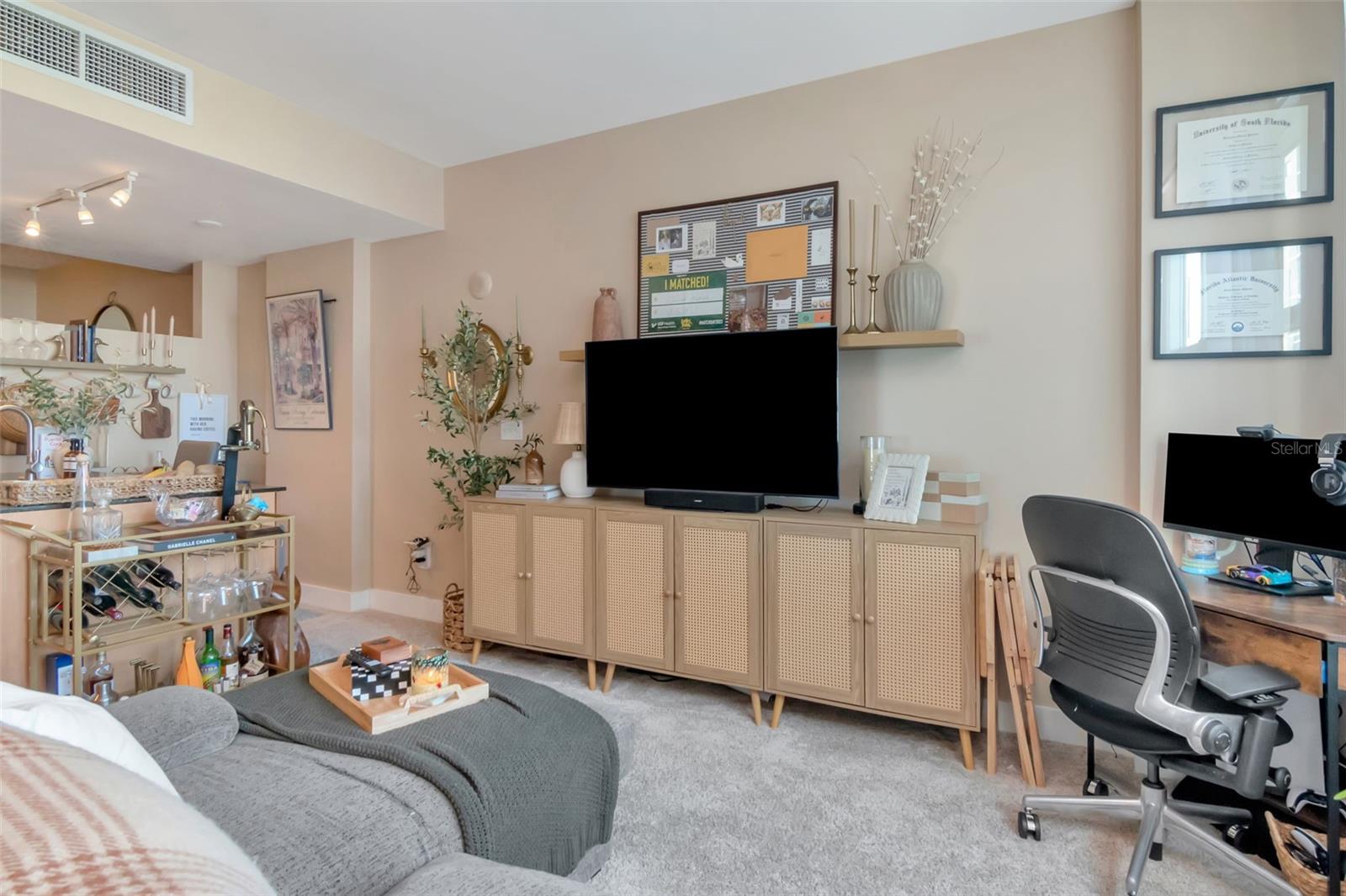 1120 E KENNEDY BLVD #1117, TAMPA, FL, 33602
