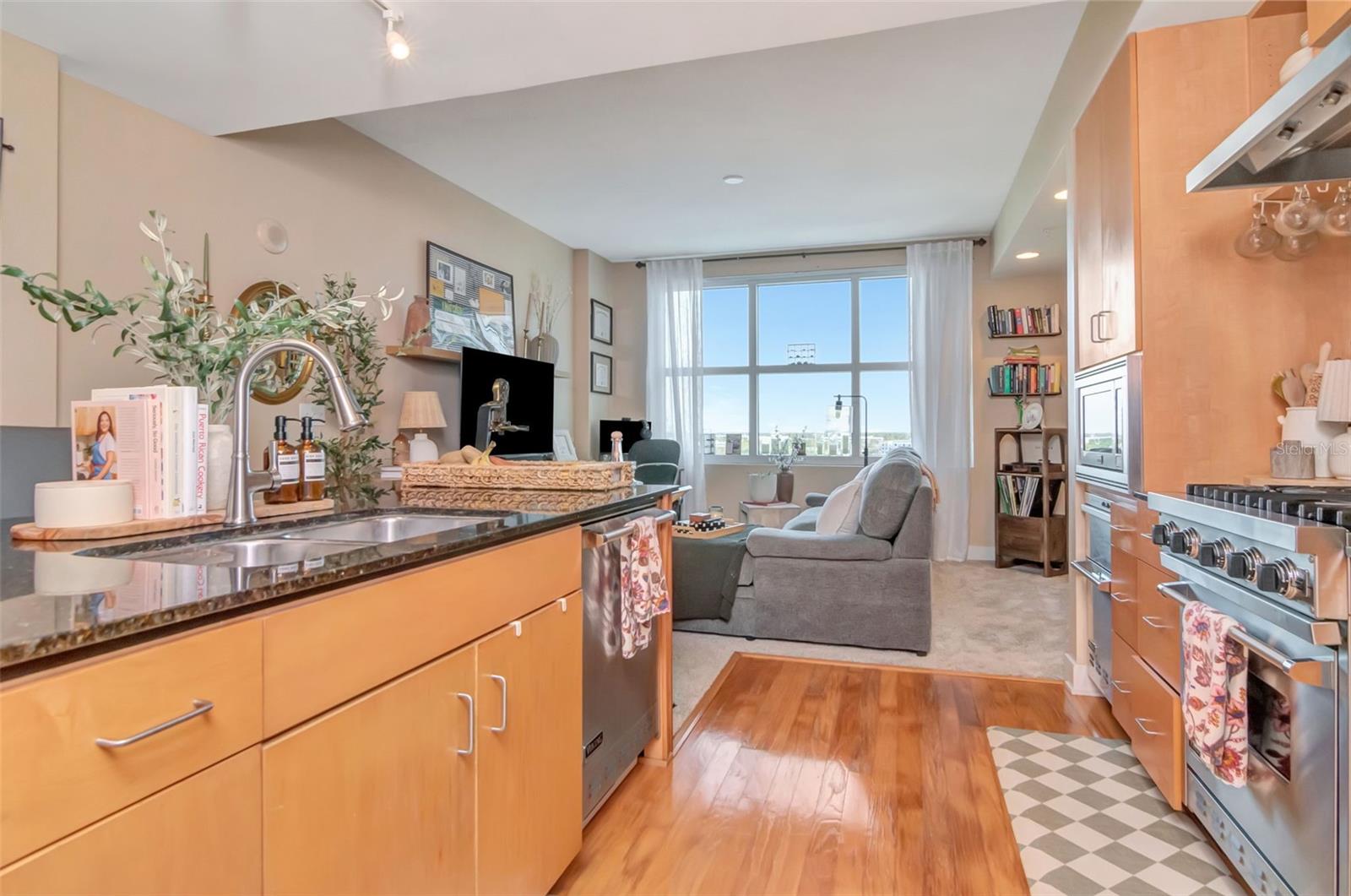 1120 E KENNEDY BLVD #1117, TAMPA, FL, 33602