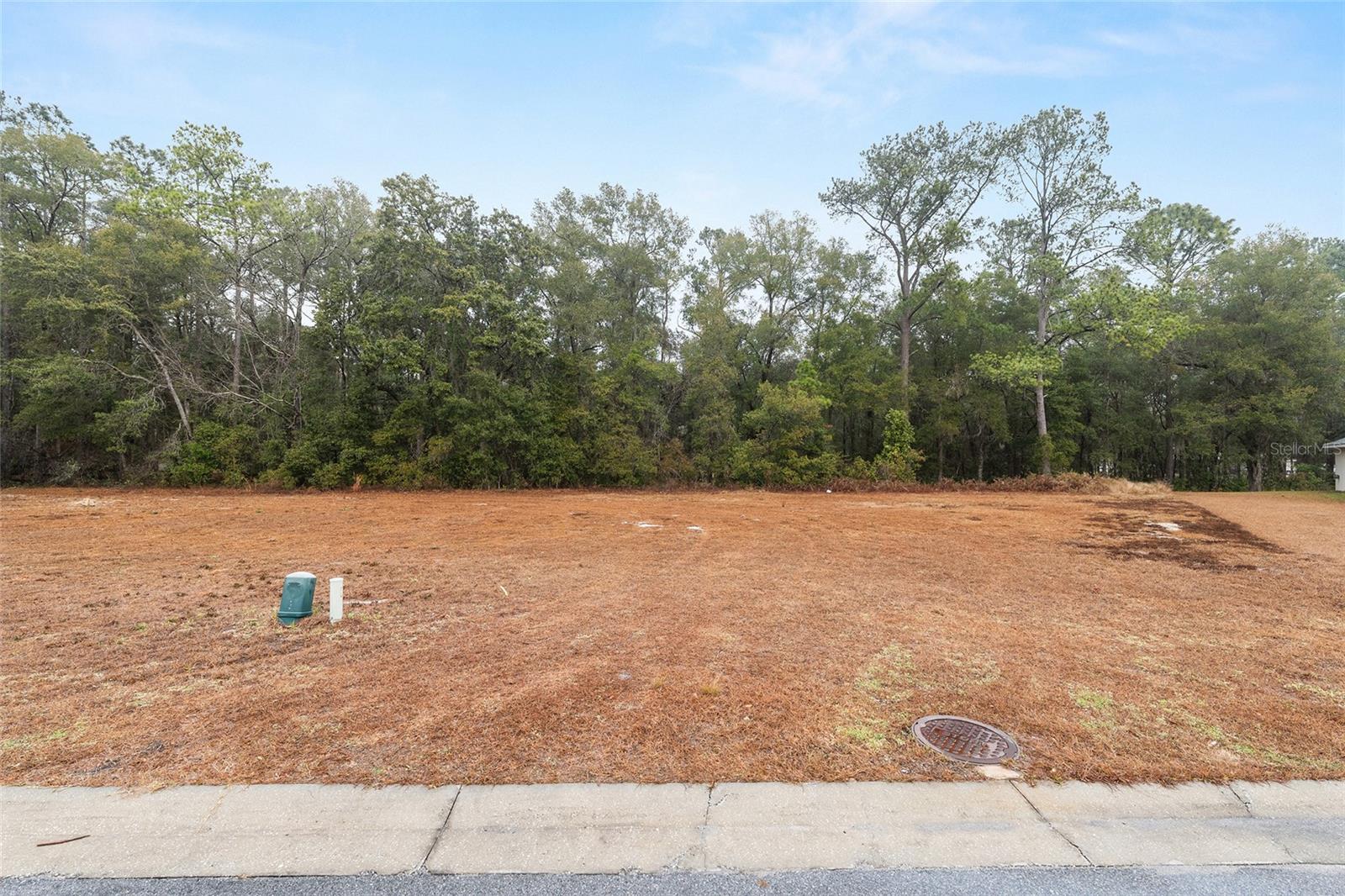 TBD NE 58TH CIR, SILVER SPRINGS, FL, 34488