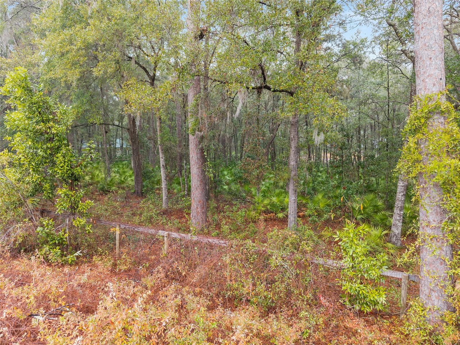 TBD NE 58TH CIR, SILVER SPRINGS, FL, 34488