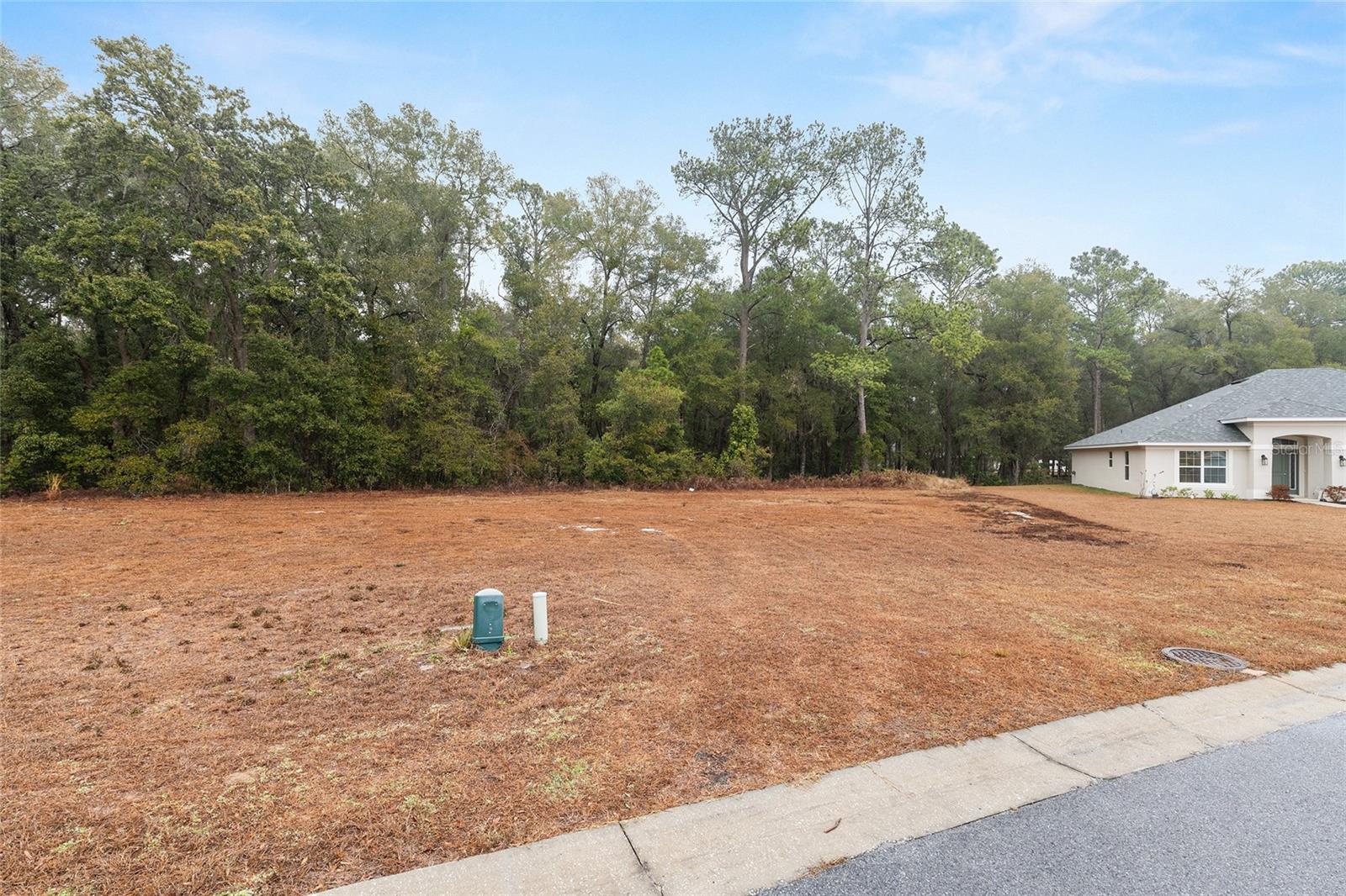 TBD NE 58TH CIR, SILVER SPRINGS, FL, 34488