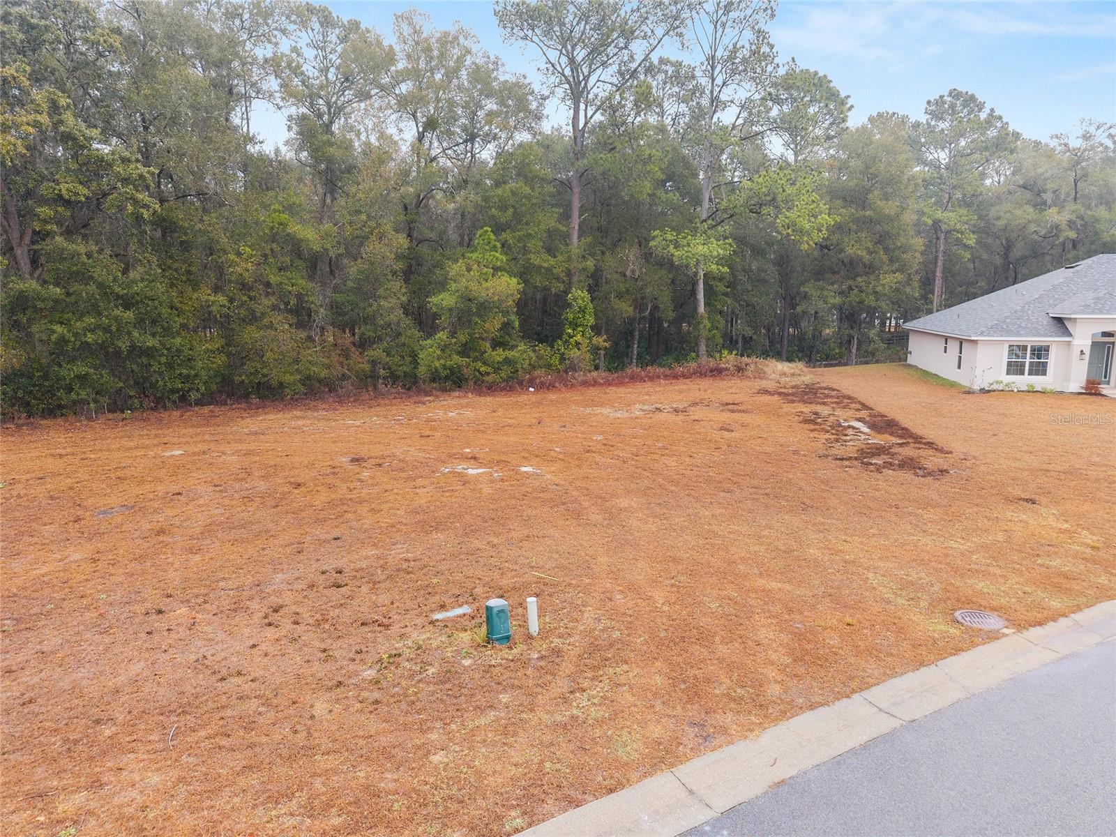 TBD NE 58TH CIR, SILVER SPRINGS, FL, 34488