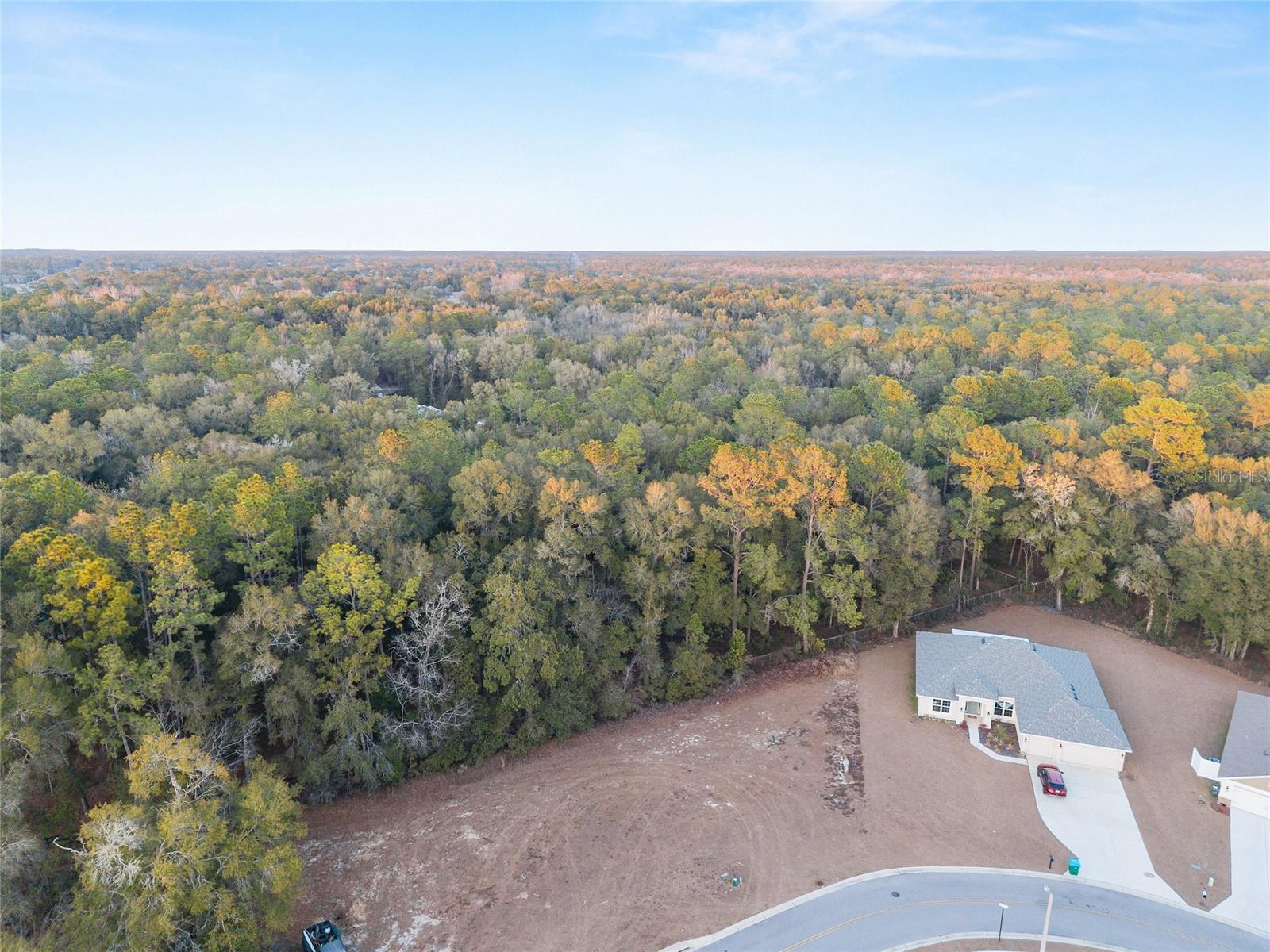 TBD NE 58TH CIR, SILVER SPRINGS, FL, 34488