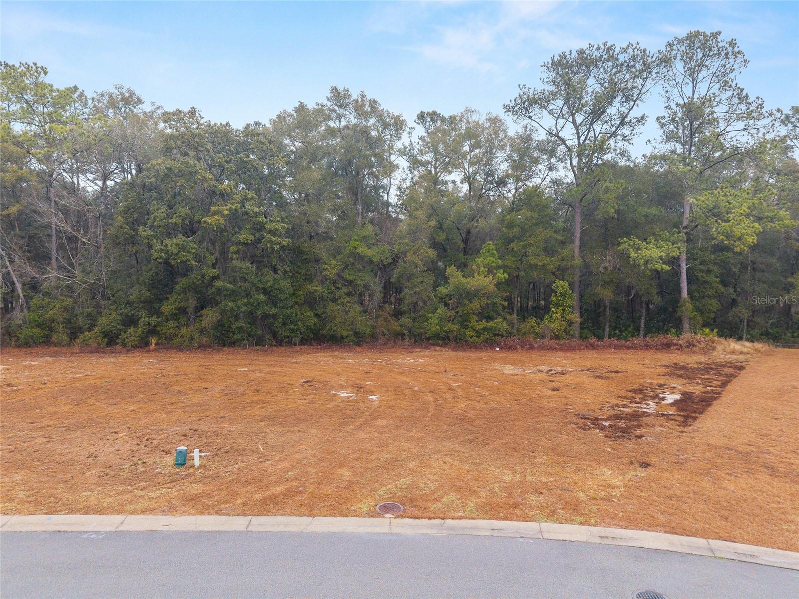 TBD NE 58TH CIR, SILVER SPRINGS, FL, 34488