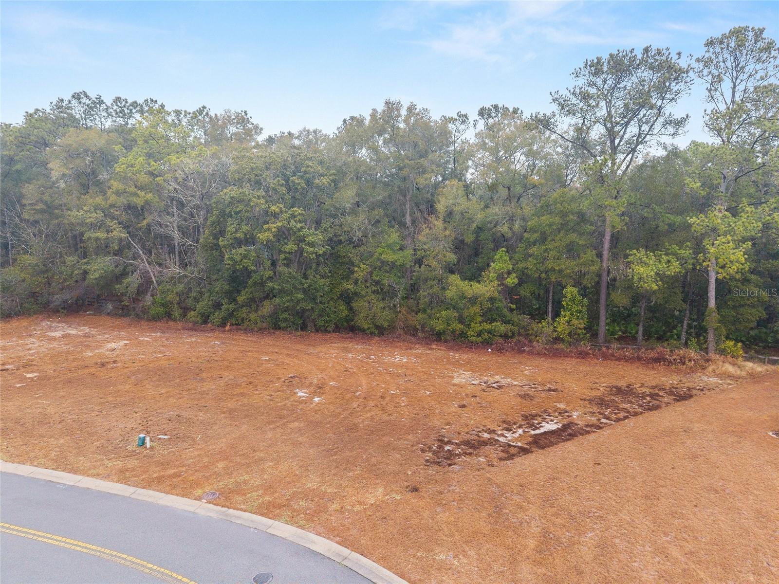 TBD NE 58TH CIR, SILVER SPRINGS, FL, 34488