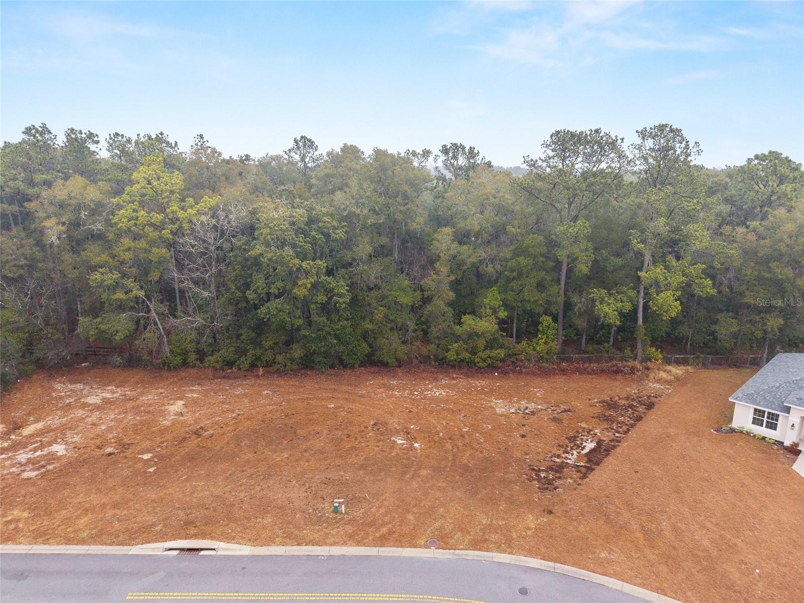 TBD NE 58TH CIR, SILVER SPRINGS, FL, 34488
