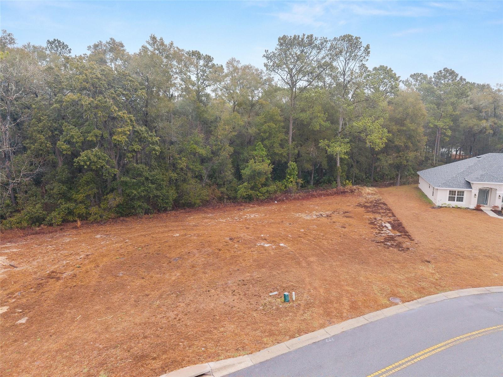 TBD NE 58TH CIR, SILVER SPRINGS, FL, 34488