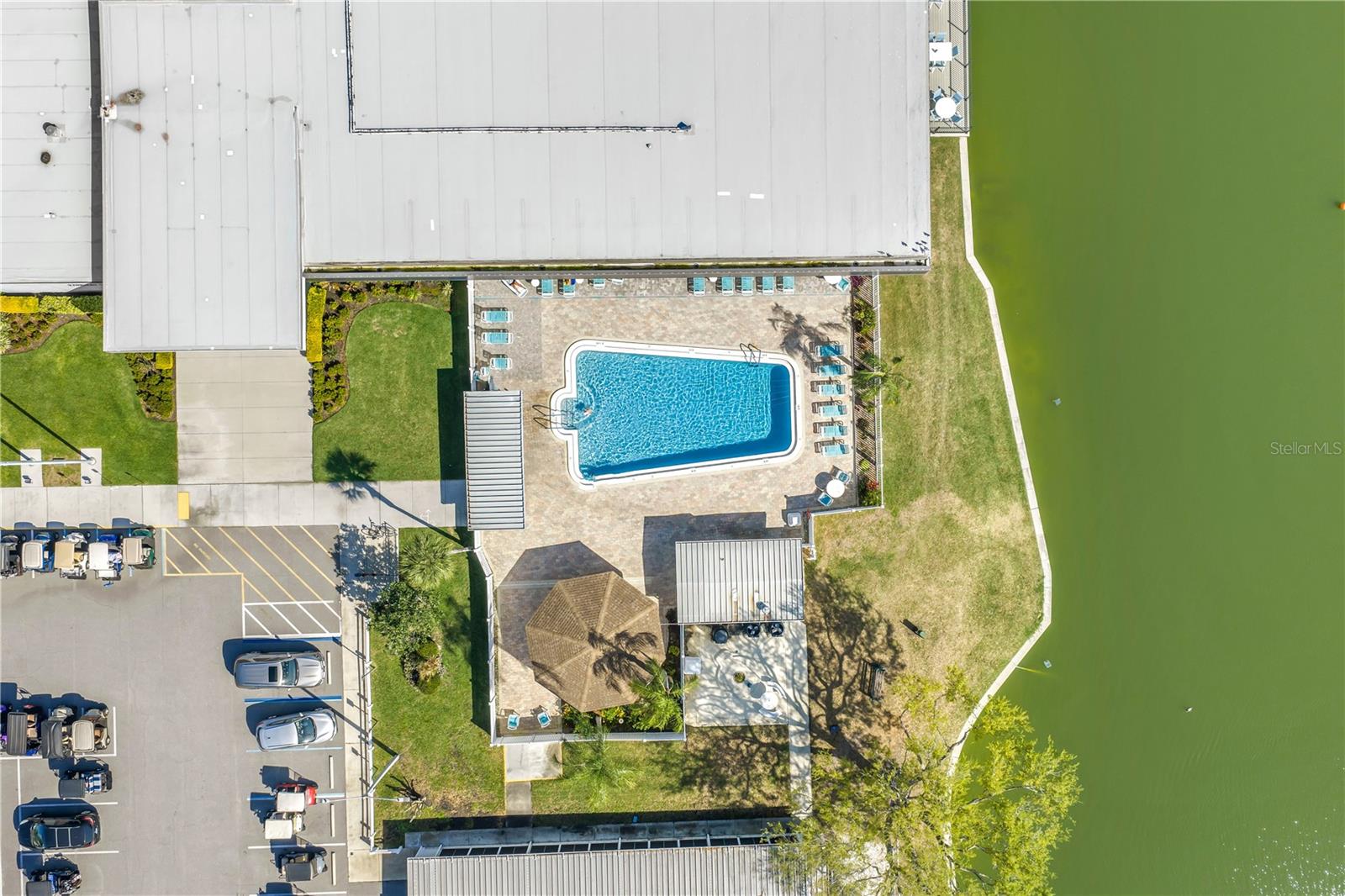 1100 BELCHER RD S #502, LARGO, FL, 33771