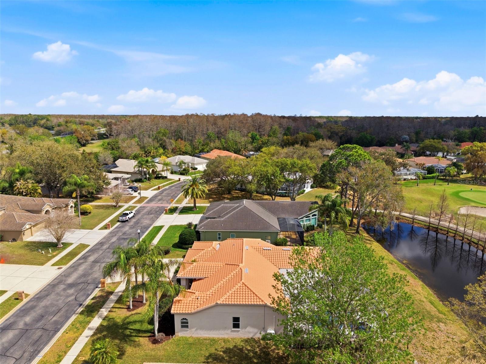 1310 KINGS WAY LN, TARPON SPRINGS, FL, 34688