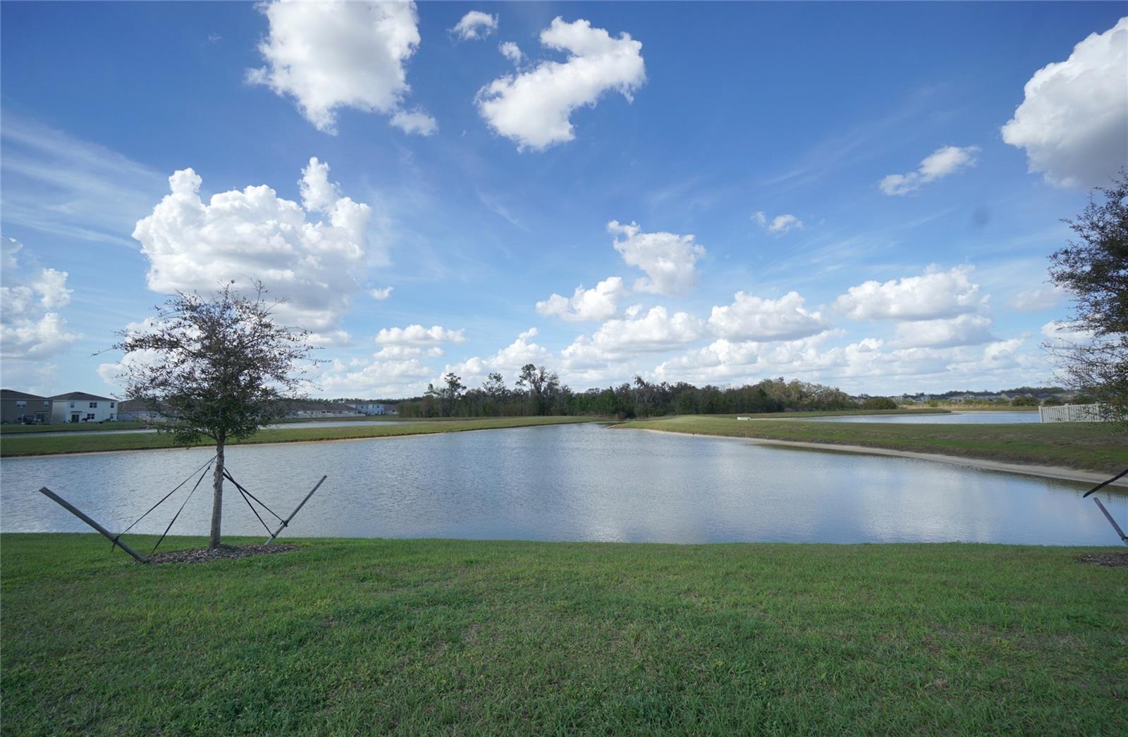 33700 JASPER STONE DR, WESLEY CHAPEL, FL, 33543