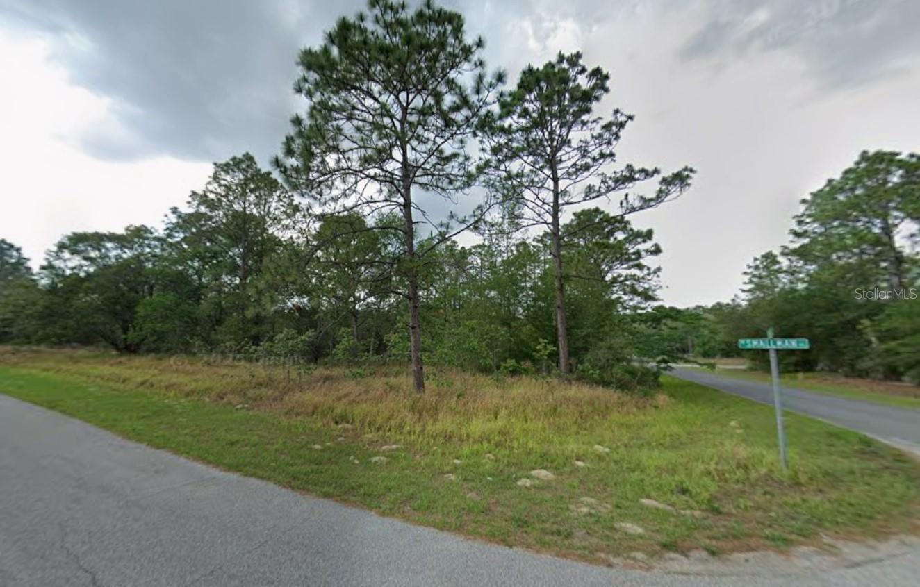 805 W SMALLMAN PL, CITRUS SPRINGS, FL, 34434