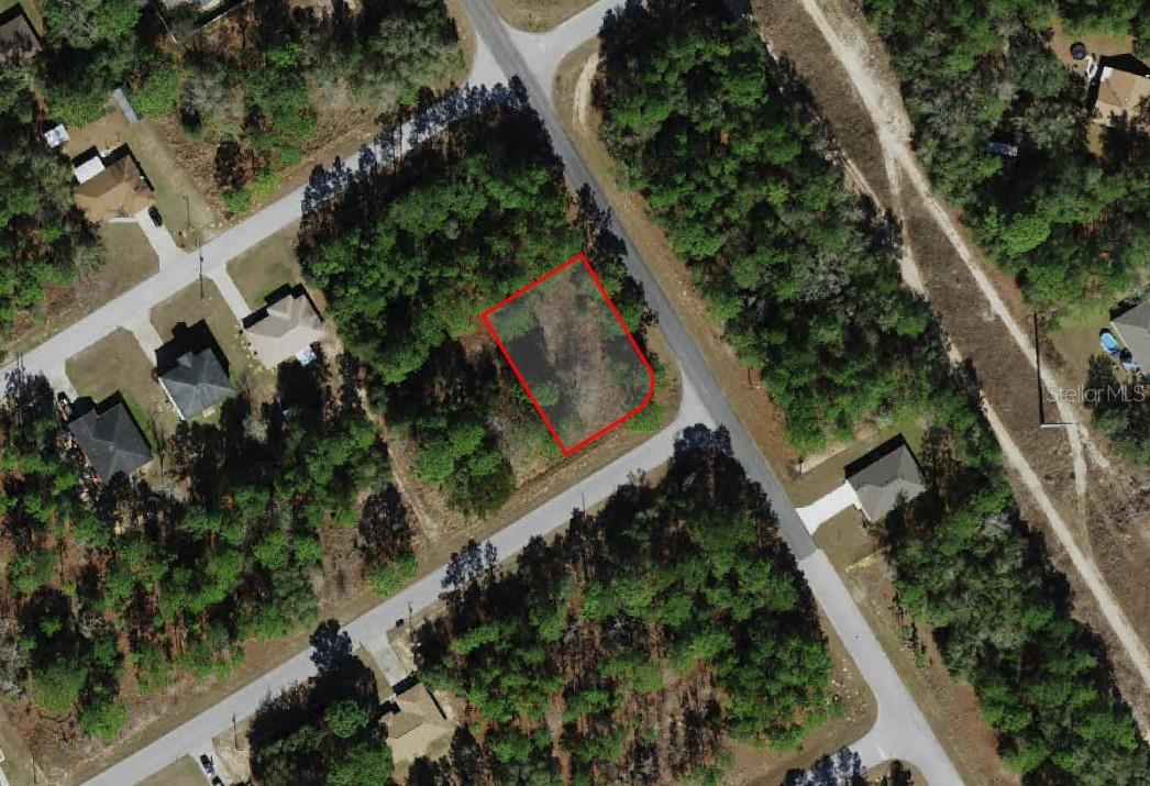 805 W SMALLMAN PL, CITRUS SPRINGS, FL, 34434