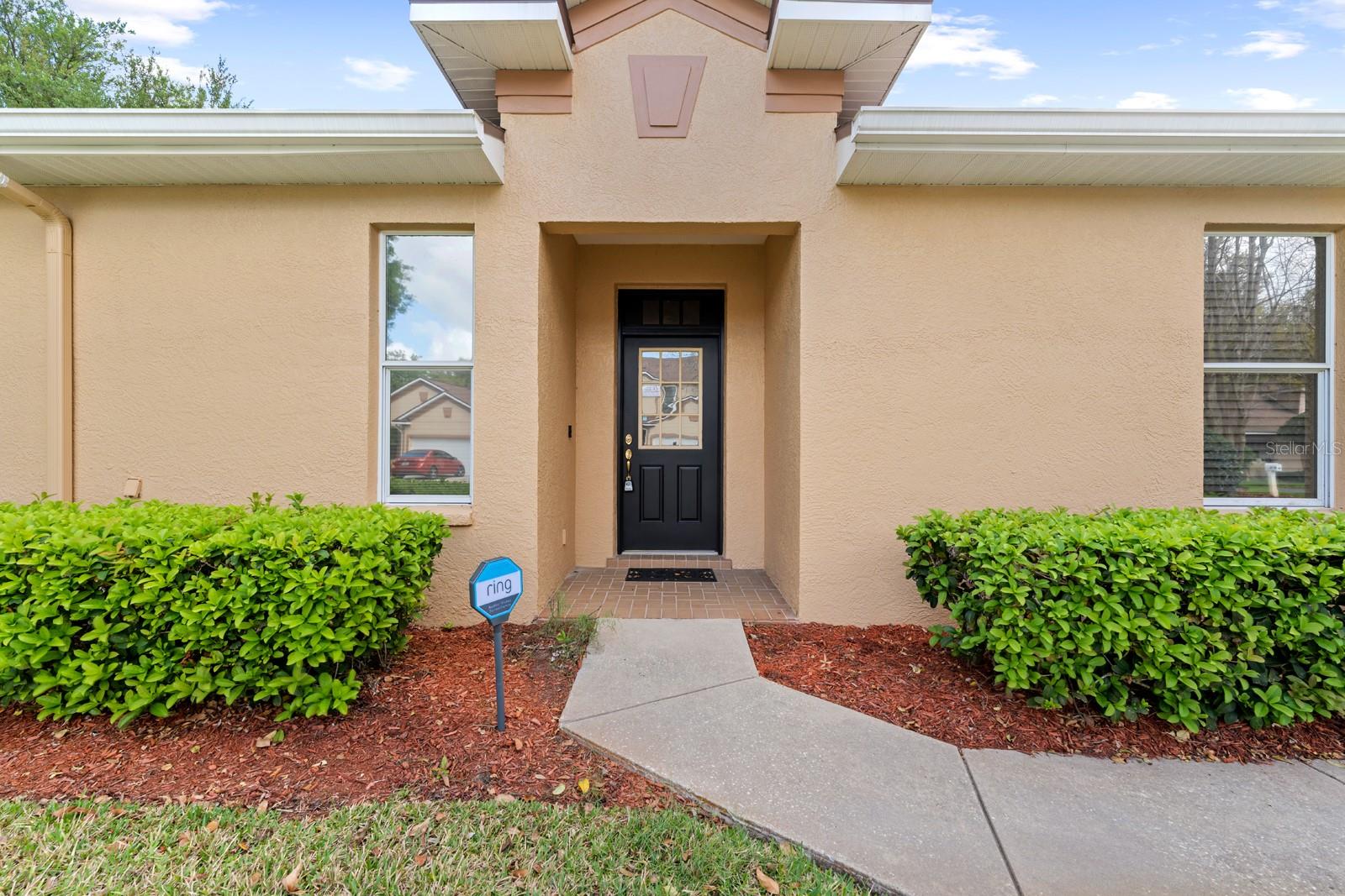 1102 SAVANNAH LANDINGS AVE, VALRICO, FL, 33596
