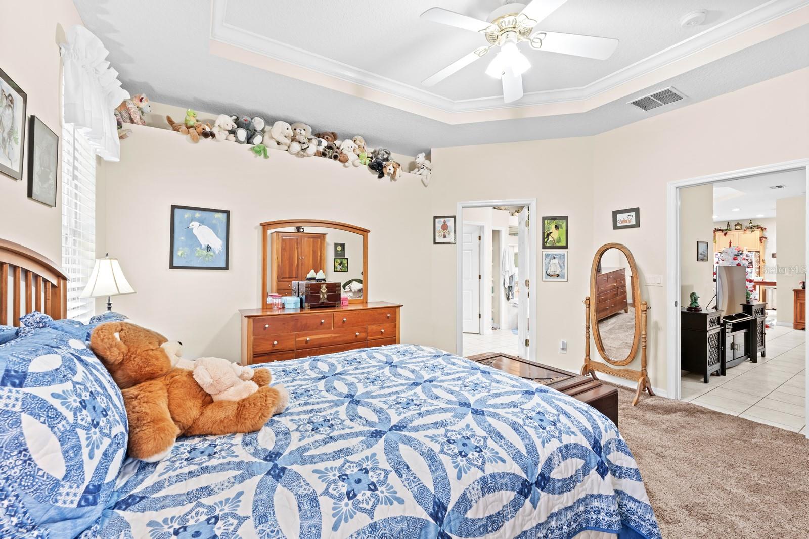1102 SAVANNAH LANDINGS AVE, VALRICO, FL, 33596