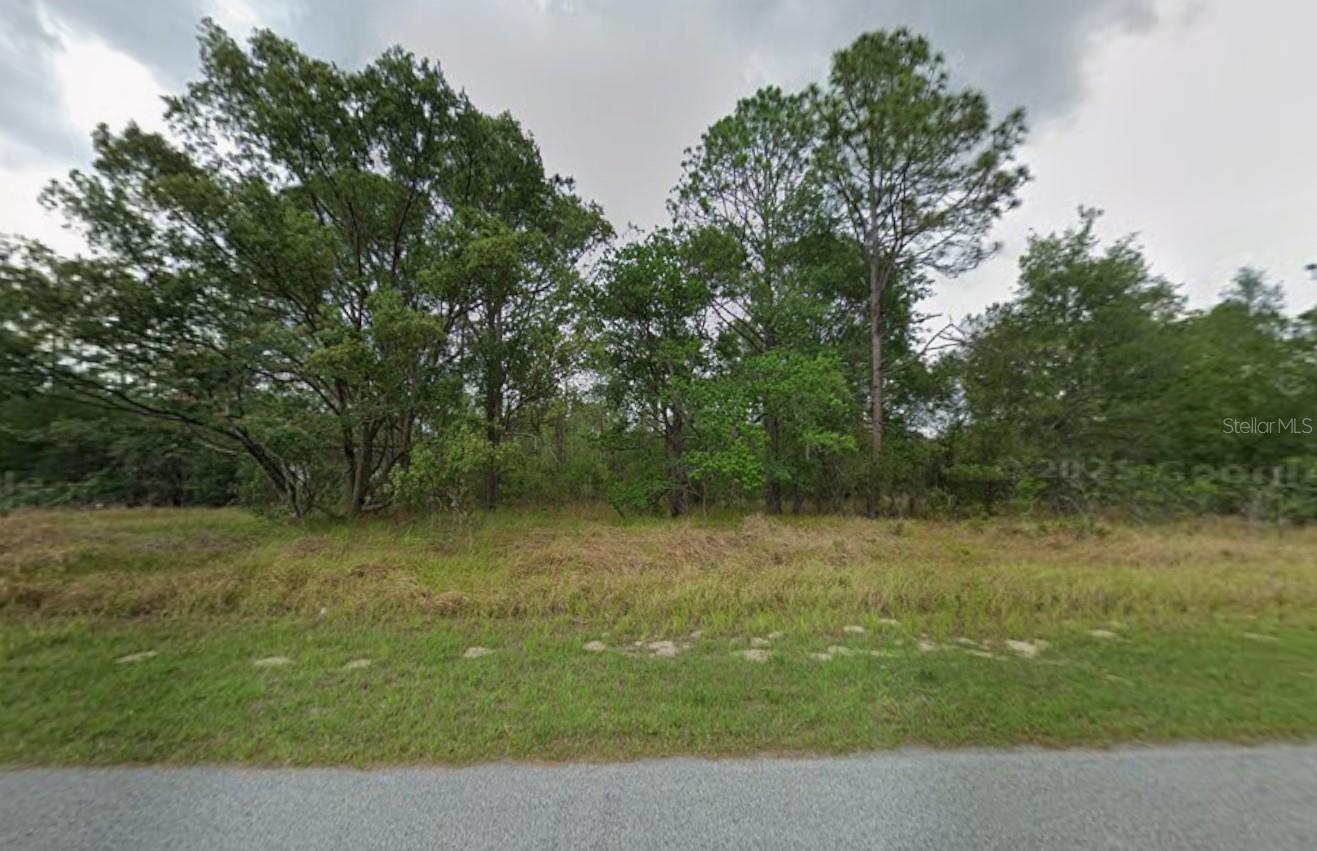 817 W SMALLMAN PL, CITRUS SPRINGS, FL, 34434