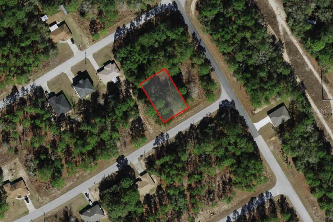 817 W SMALLMAN PL, CITRUS SPRINGS, FL, 34434