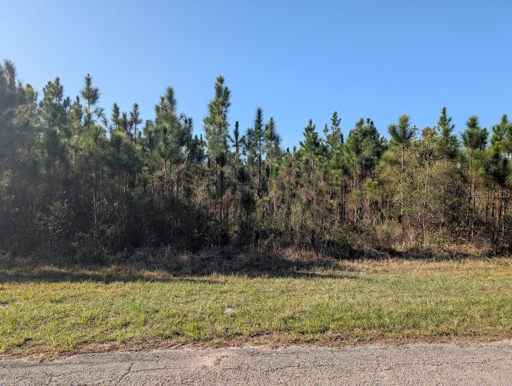 408 POINCIANA DR, INDIAN LAKE ESTATES, FL, 33855