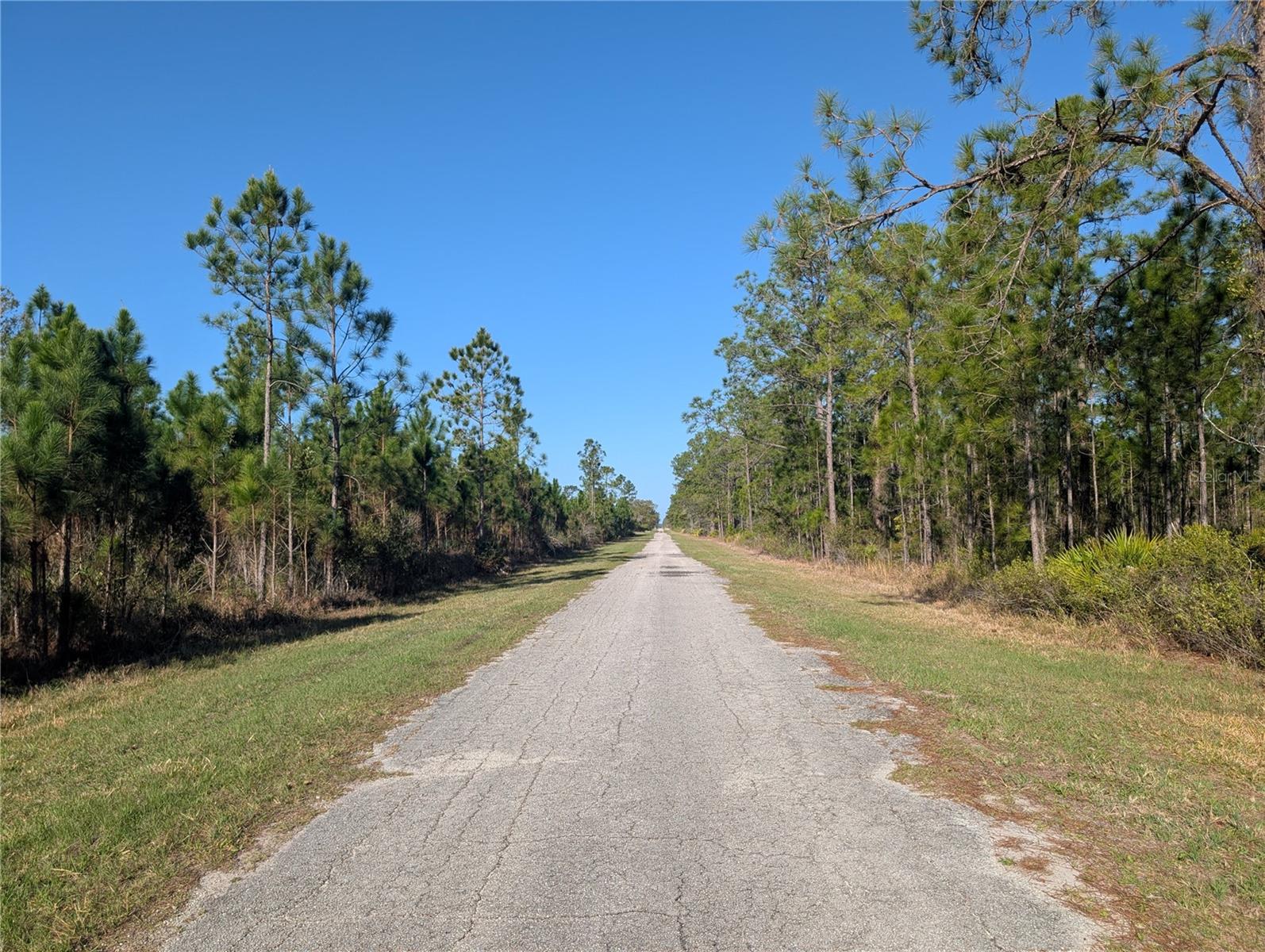 408 POINCIANA DR, INDIAN LAKE ESTATES, FL, 33855