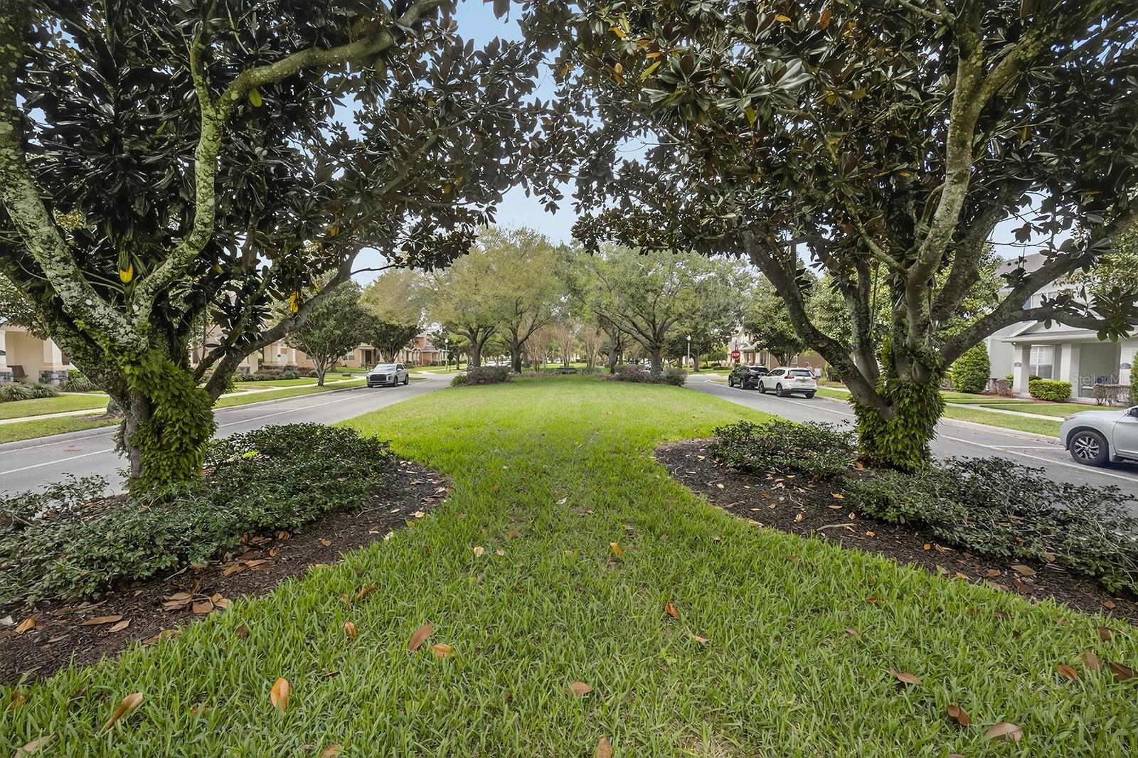 14239 AVENUE OF THE GROVES, WINTER GARDEN, FL, 34787