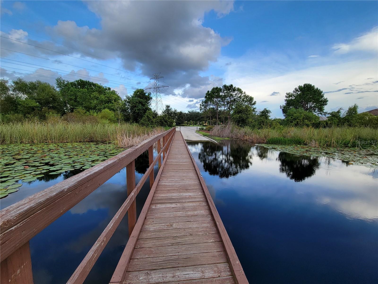 14239 AVENUE OF THE GROVES, WINTER GARDEN, FL, 34787