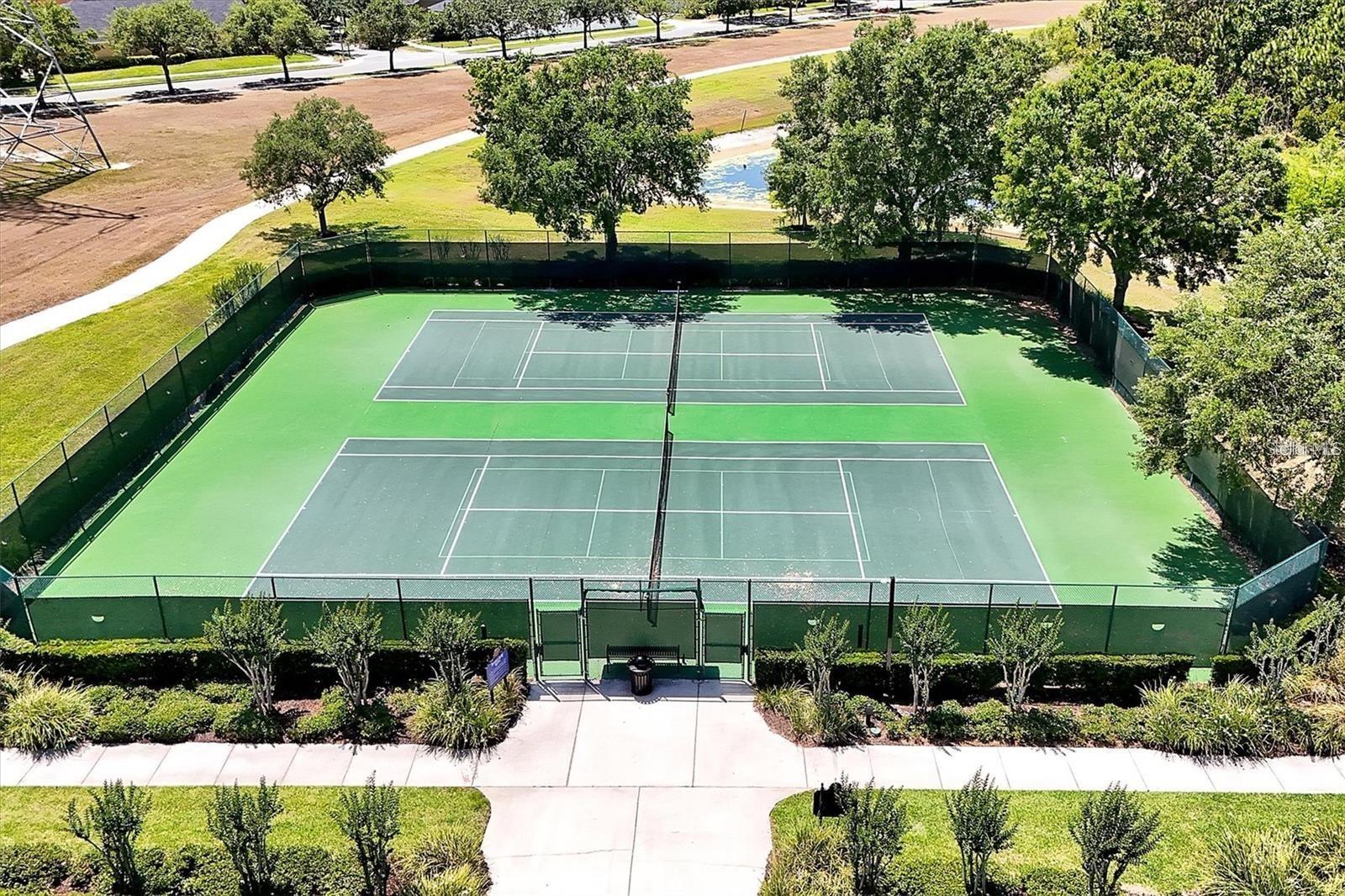 14239 AVENUE OF THE GROVES, WINTER GARDEN, FL, 34787