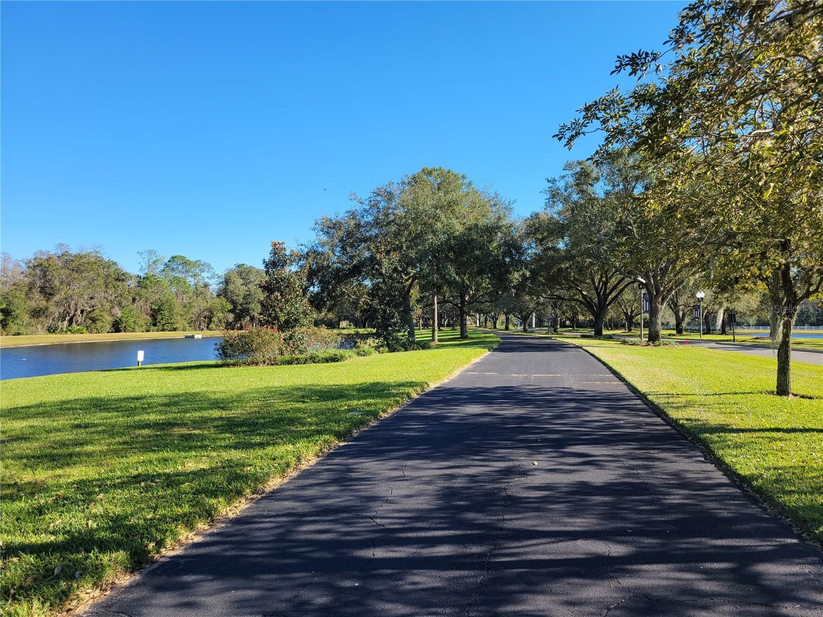14239 AVENUE OF THE GROVES, WINTER GARDEN, FL, 34787