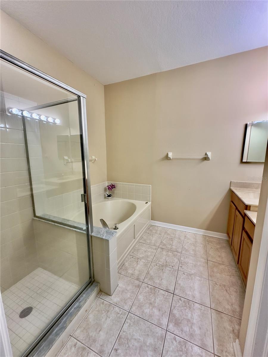 10222 DEVONSHIRE LAKE DR, TAMPA, FL, 33647