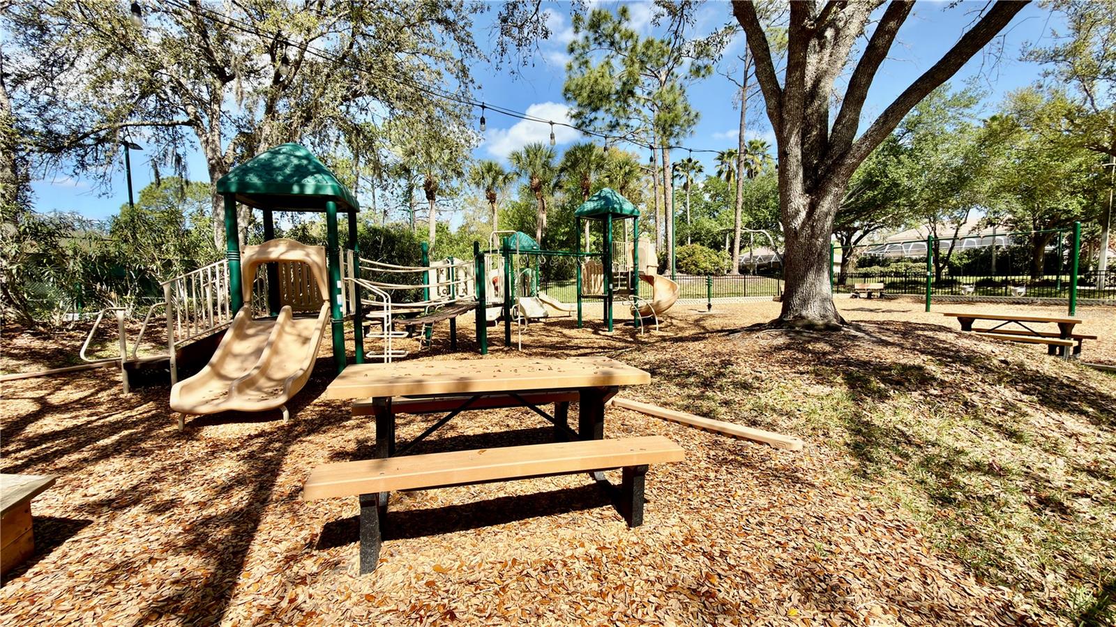 10222 DEVONSHIRE LAKE DR, TAMPA, FL, 33647