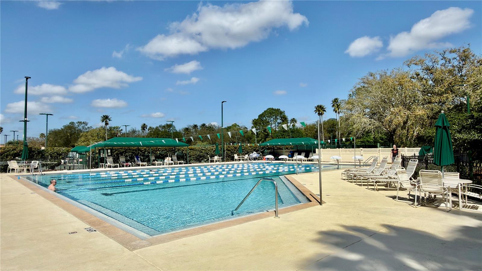 10222 DEVONSHIRE LAKE DR, TAMPA, FL, 33647