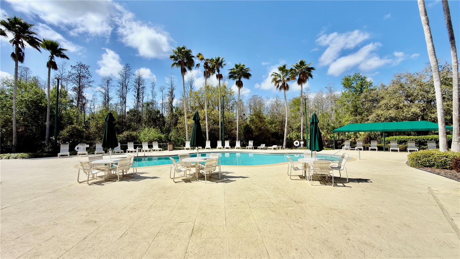 10222 DEVONSHIRE LAKE DR, TAMPA, FL, 33647