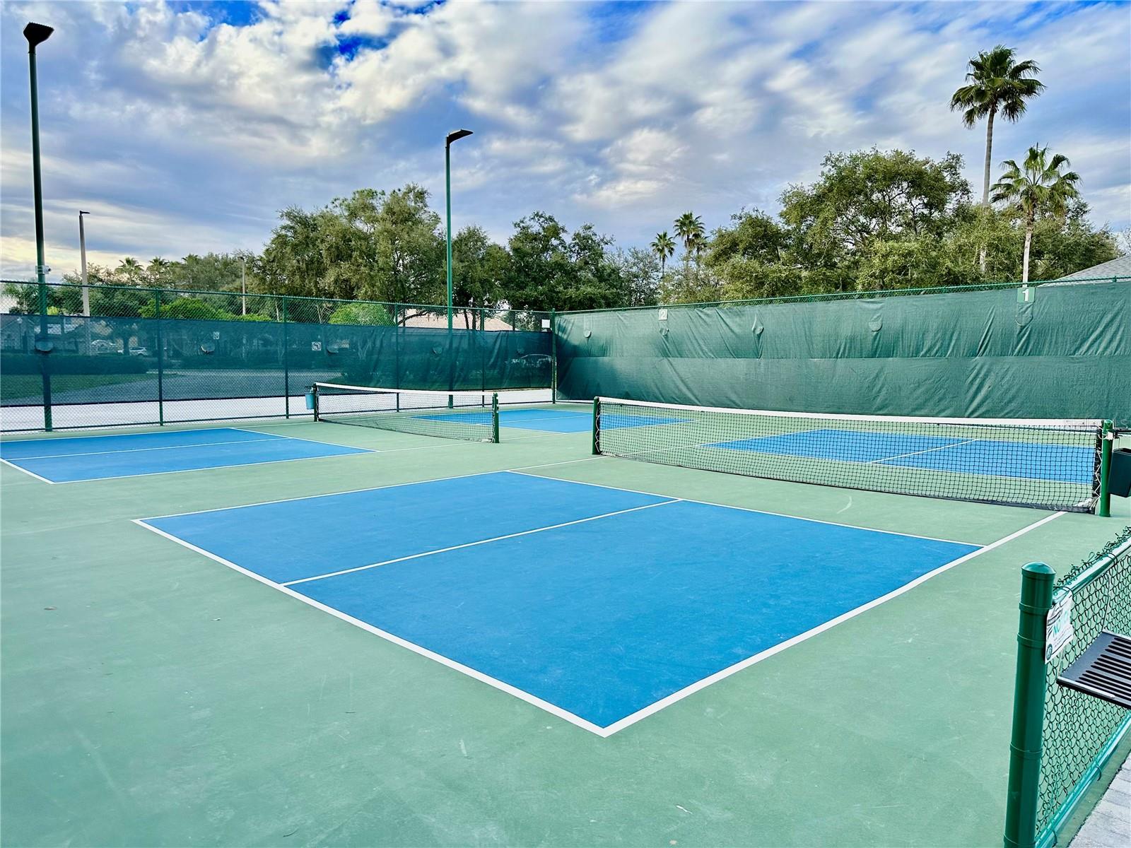 10222 DEVONSHIRE LAKE DR, TAMPA, FL, 33647