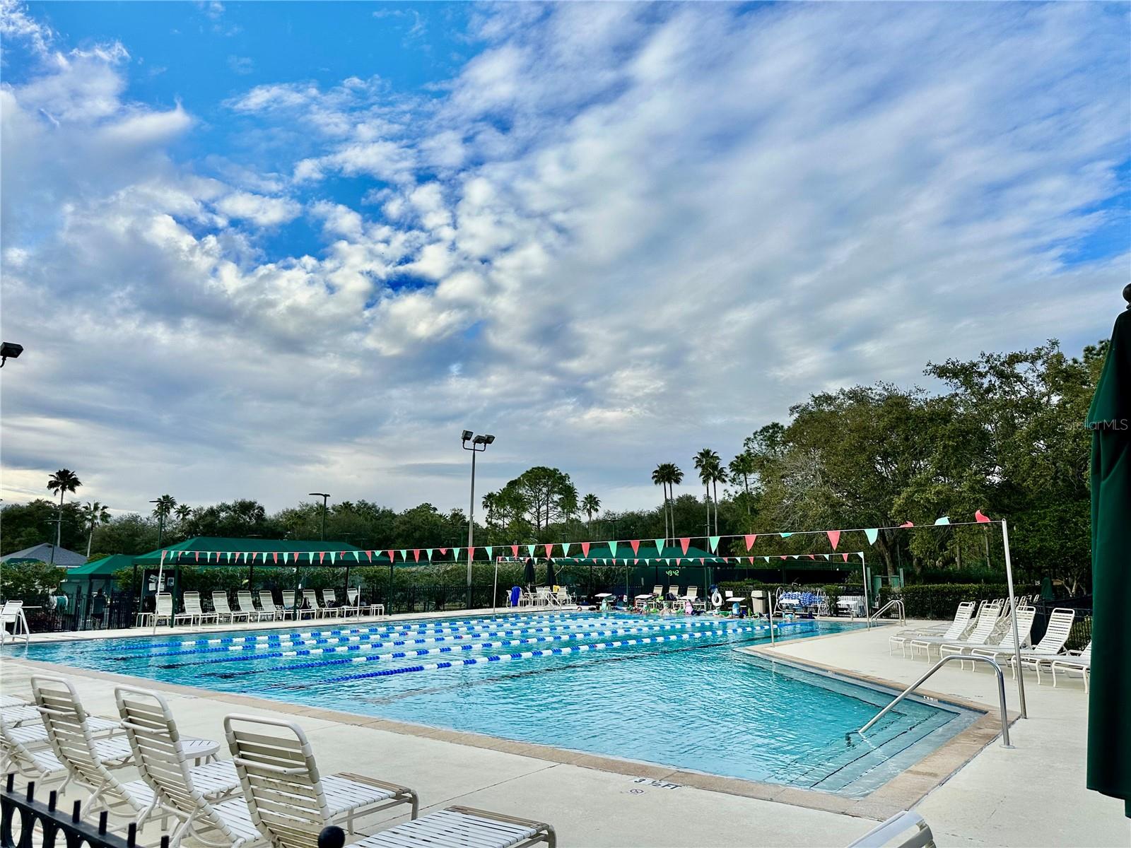 10222 DEVONSHIRE LAKE DR, TAMPA, FL, 33647
