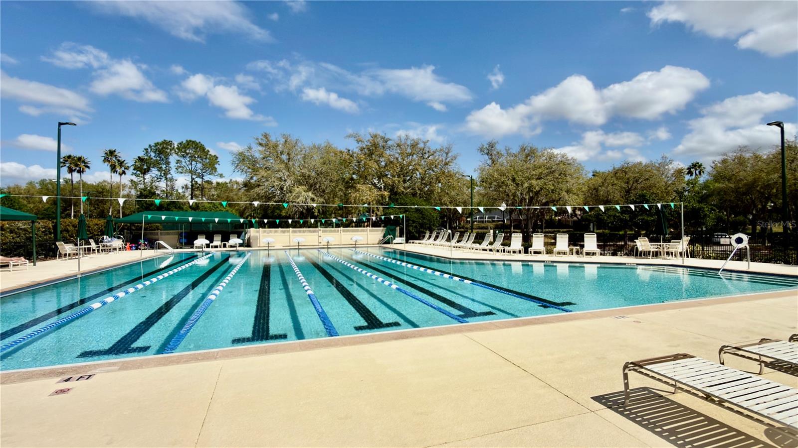 10222 DEVONSHIRE LAKE DR, TAMPA, FL, 33647