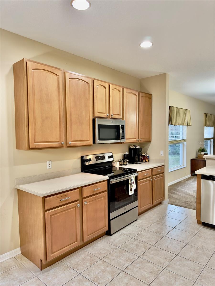 10222 DEVONSHIRE LAKE DR, TAMPA, FL, 33647