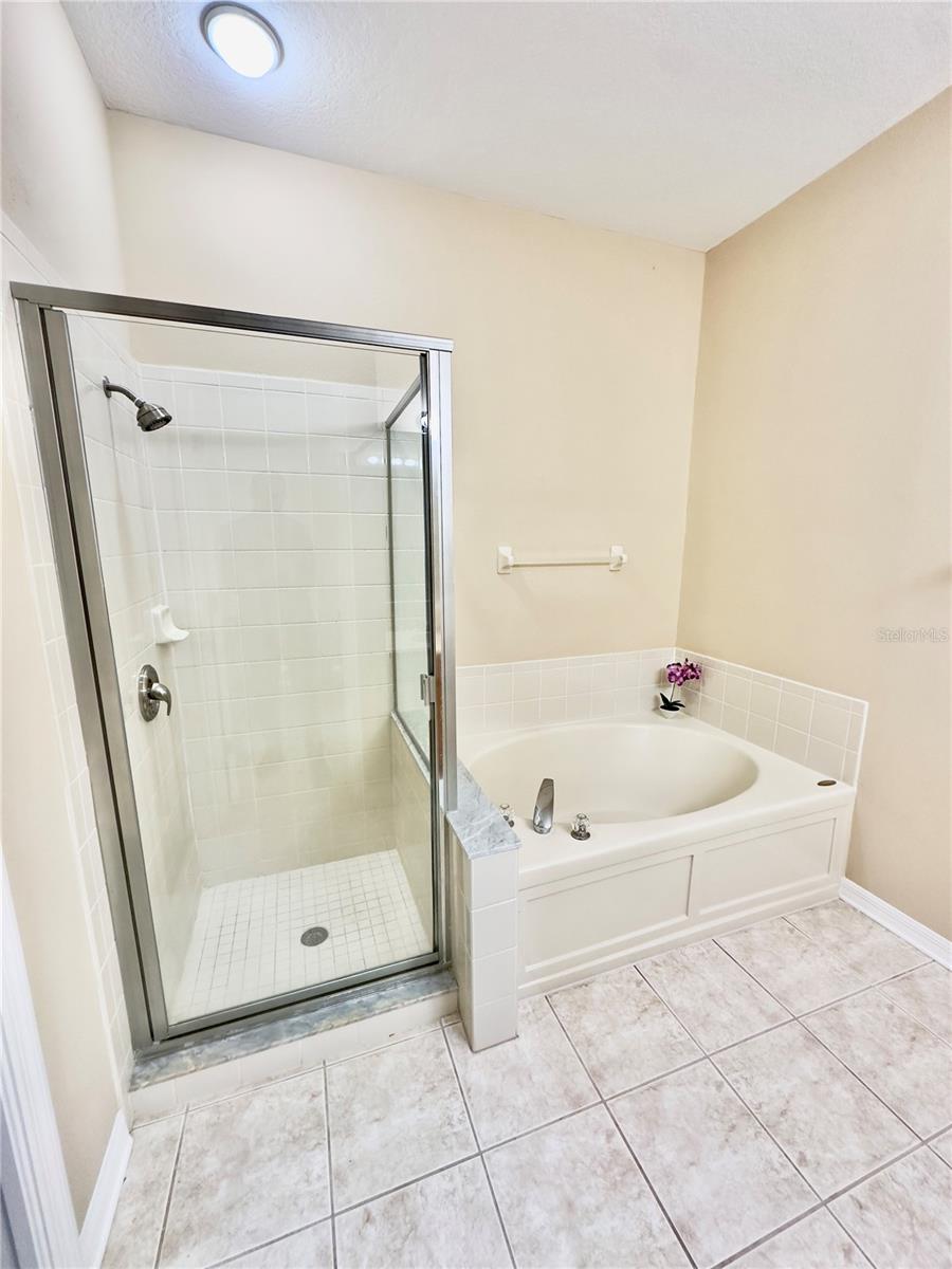 10222 DEVONSHIRE LAKE DR, TAMPA, FL, 33647
