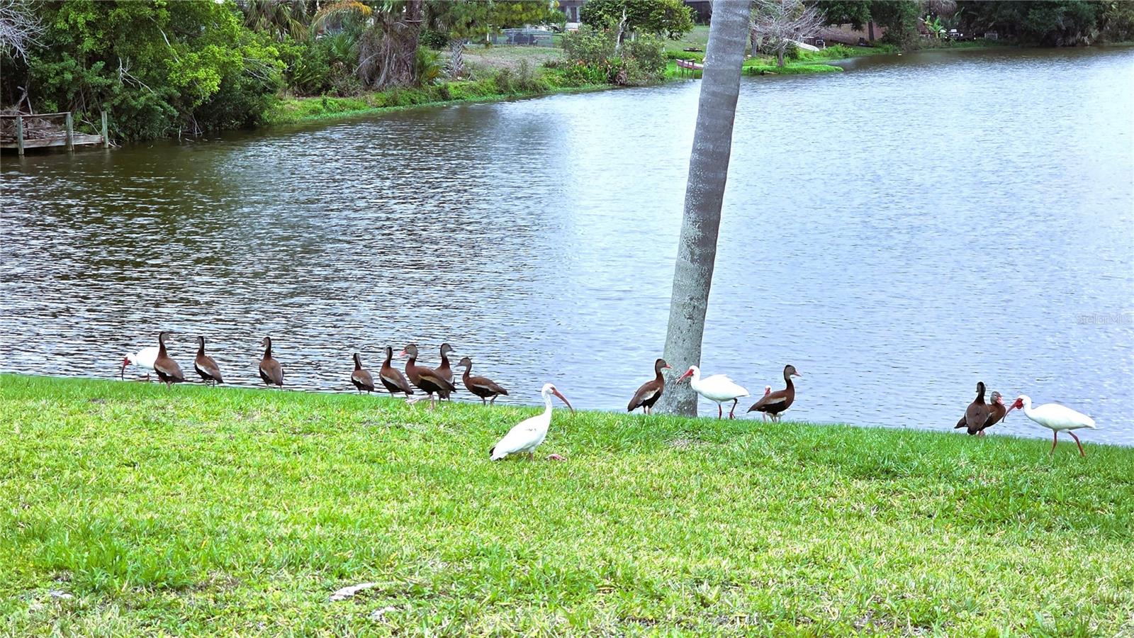 1430 AKEN ST, PORT CHARLOTTE, FL, 33952