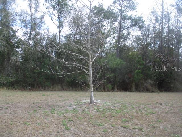 5150 DIANTHA WAY, BROOKSVILLE, FL, 34604