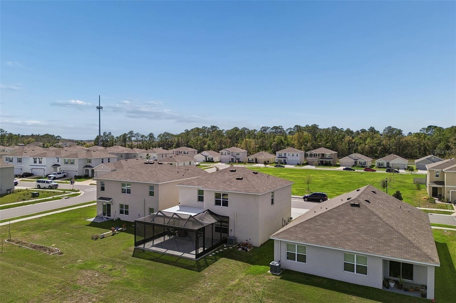 2814 COMMON FIG RUN, WESLEY CHAPEL, FL, 33543
