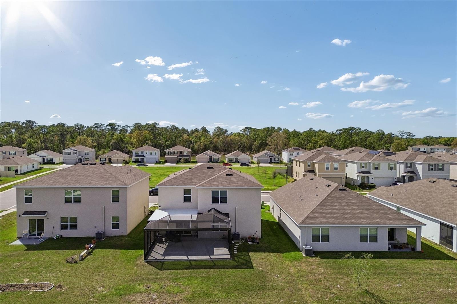 2814 COMMON FIG RUN, WESLEY CHAPEL, FL, 33543